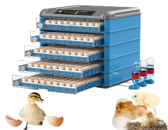 Groupe%20Complexe%20Nutritionnel%20(GCN)