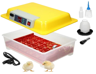 Groupe%20Complexe%20Nutritionnel%20(GCN)