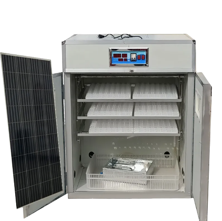 Groupe%20Complexe%20Nutritionnel%20(GCN)