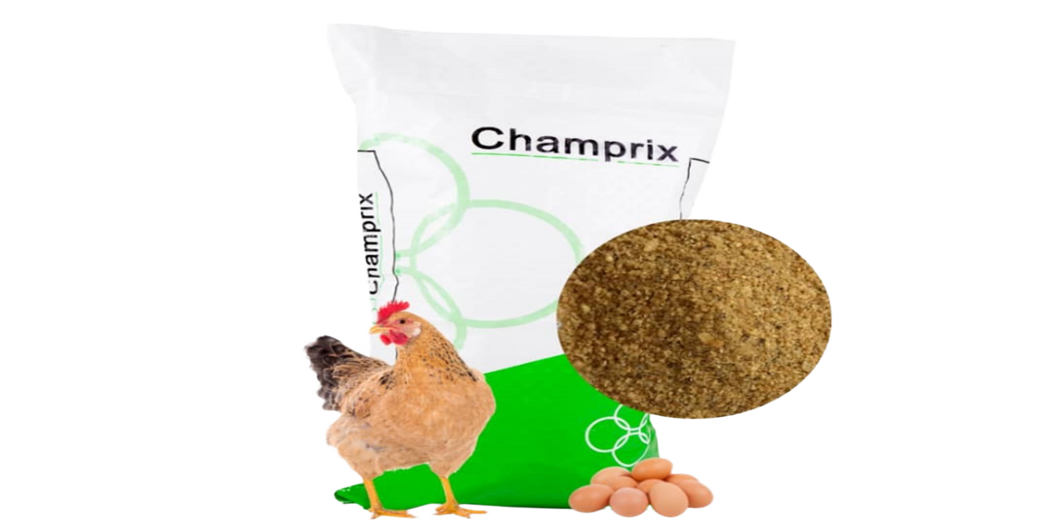 Groupe%20Complexe%20Nutritionnel%20(GCN)