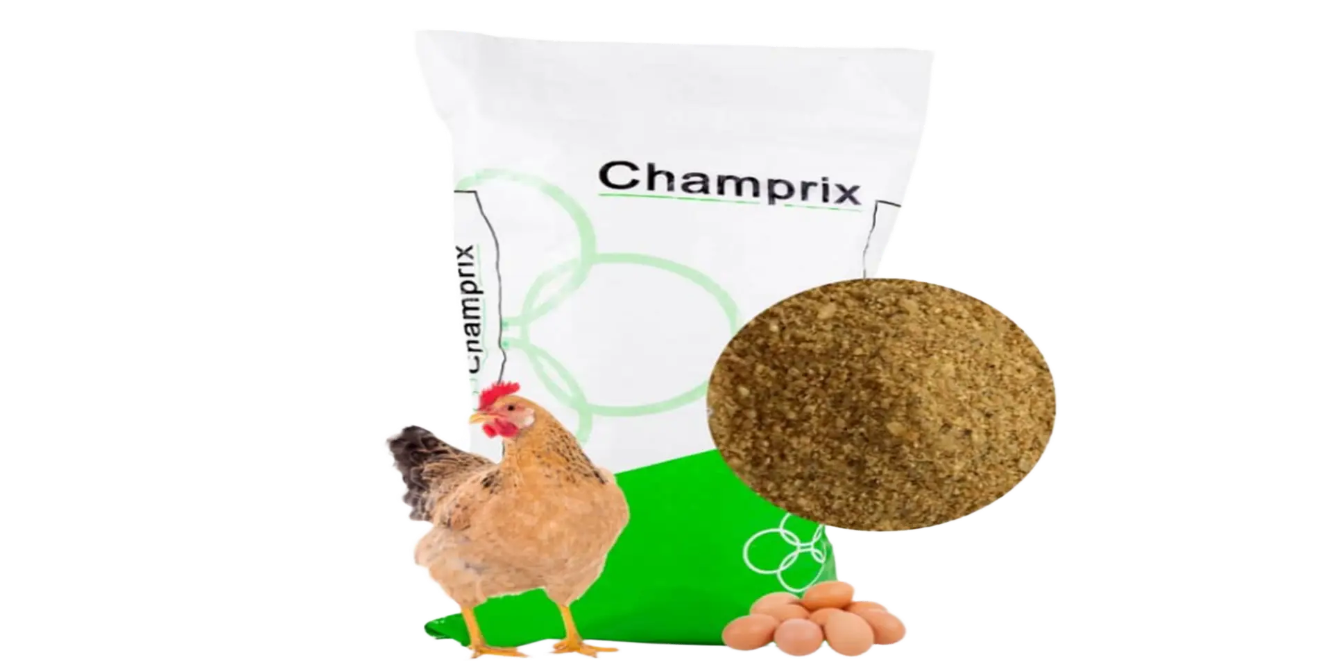 Groupe%20Complexe%20Nutritionnel%20(GCN)