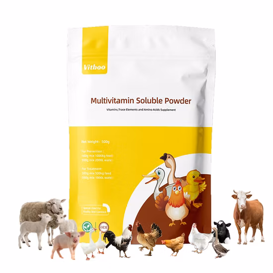 Groupe%20Complexe%20Nutritionnel%20(GCN)