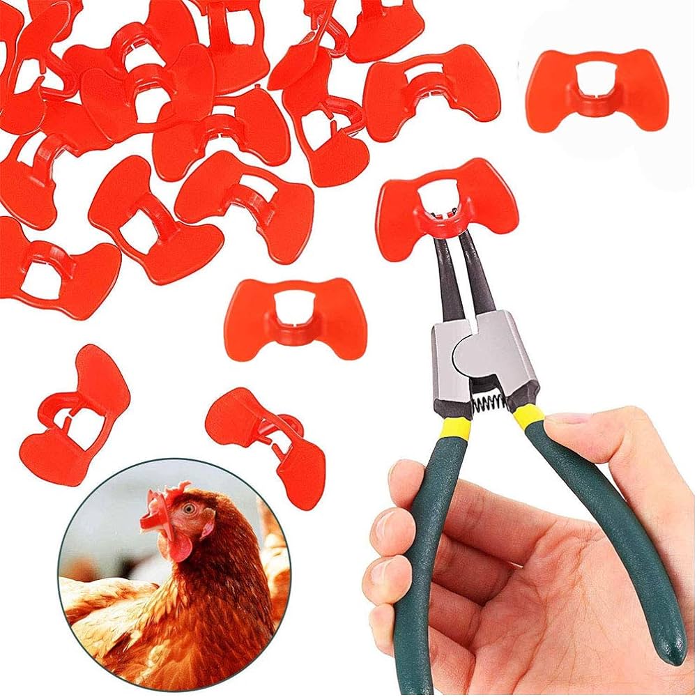 Groupe%20Complexe%20Nutritionnel%20(GCN)